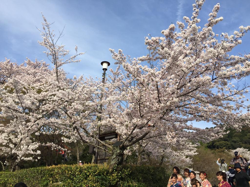 Uemura 2* Kyoto